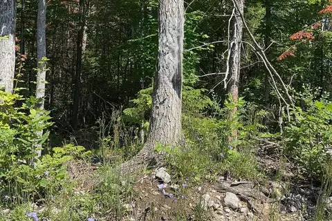 Lot 30 White Valley Road