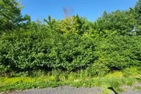 LOT 7 PLAN 246 Tolmies Corners Road