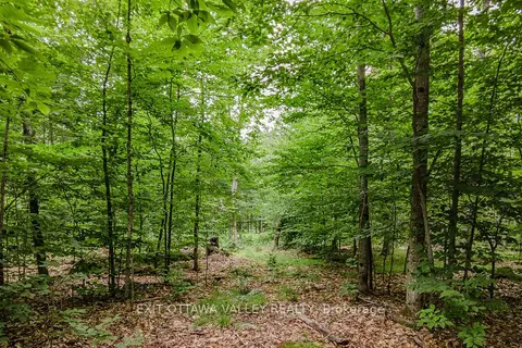 0 Peplinskie Road