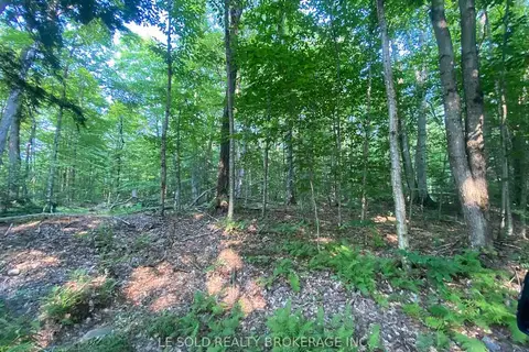 1310 Camel Lake Road Lot # 7