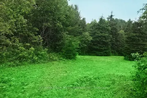 93 Rye Road 4