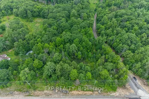 00 Riopelle Road