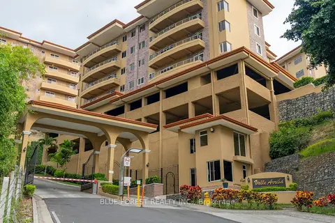 123 Plaza Rose Street 441