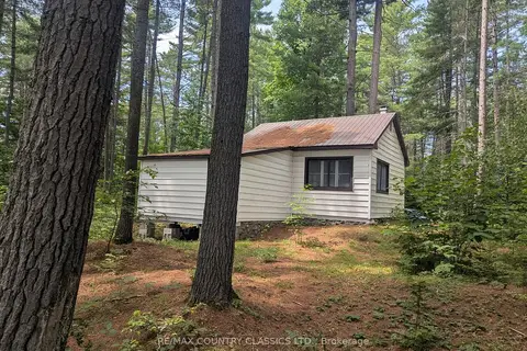 22 Swan Lane