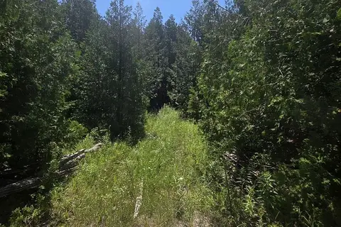 N/A W GOVERNMENT RD Acres W