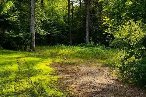 5045 Opeongo Road