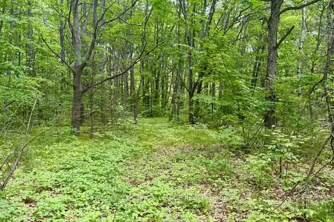 207 Middle Ridge Road