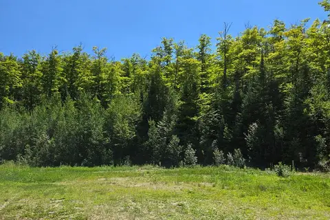 509 S Road Road