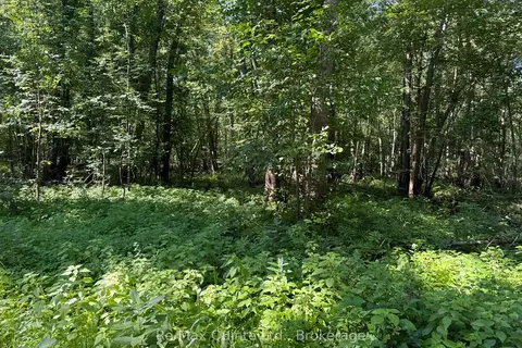 0 Trillium Lane