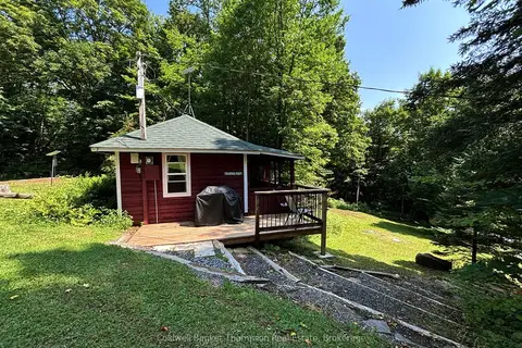 1341 Billie Bear Road