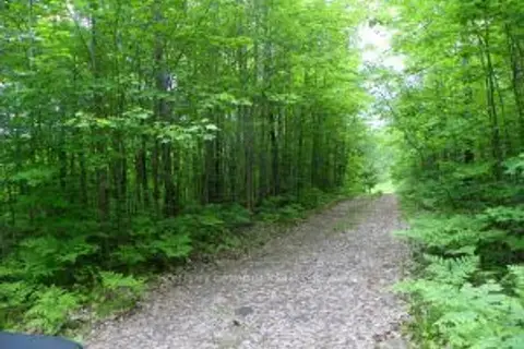 50 Acres in Muskoka North of Bala - PCL 31045