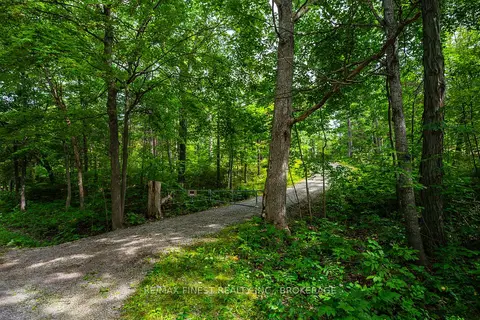 169 OLD RIVER Road