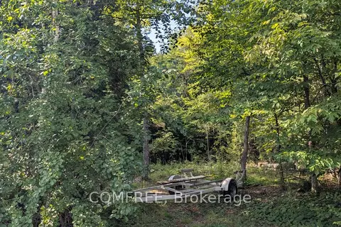 4859 Opeongo Road