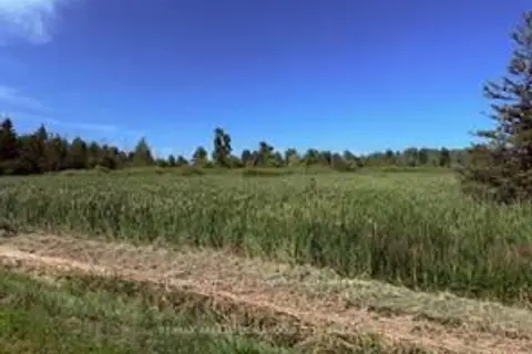 LOT County Road 31 Road