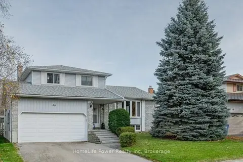 6 Hollyberry Place Basement