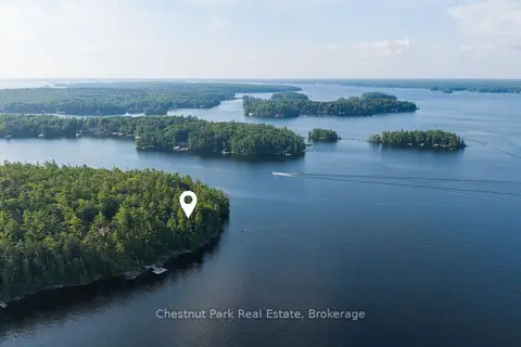 West Side of Island M81 - Pine Island
