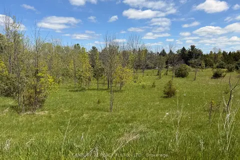 LOT 55