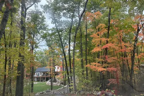166 Maple Road