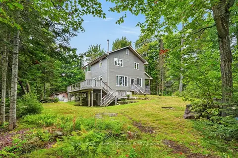49 Wolf Trail