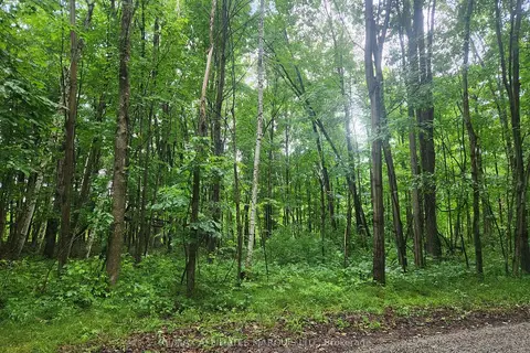 000 Cedar Sands Road Way