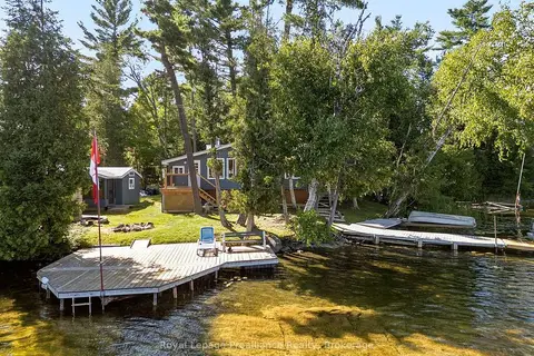 5 Water - Gunter Lake