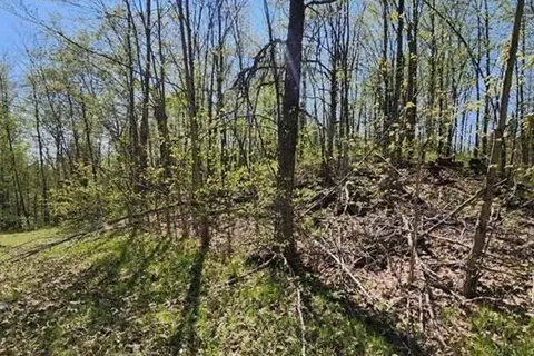 0 Burke Settlement Road