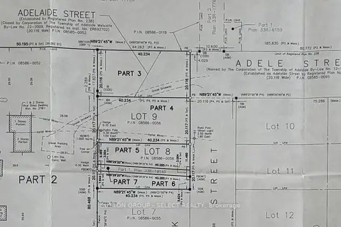 LOT 8 Havelock Street