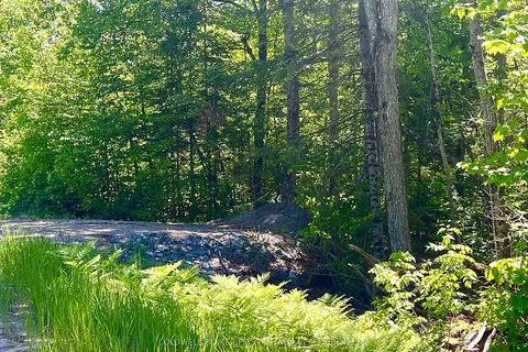 00 Buckshot Lake Road