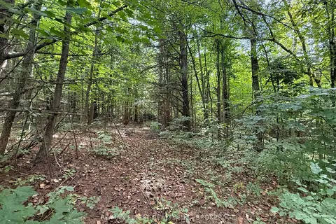 4900 County Rd 4
