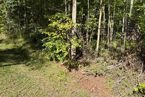 0 Pine Road