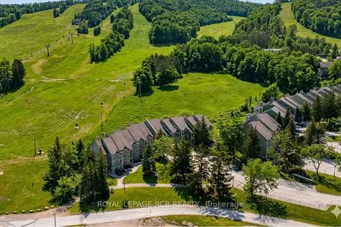 796404 Grey Road 19 109
