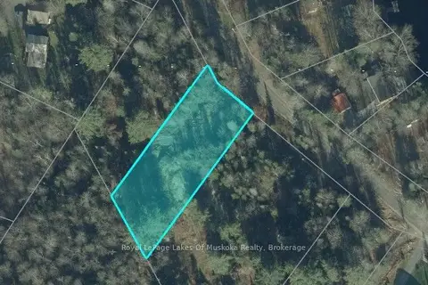 288 Balsam Chutes Road
