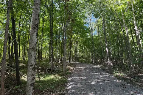 00 Middle Lot Highway 62