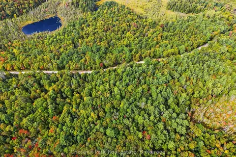 00 Paint Lake Road