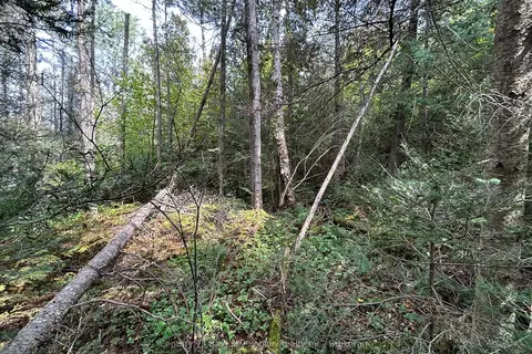 PCL 28216 Highway 531