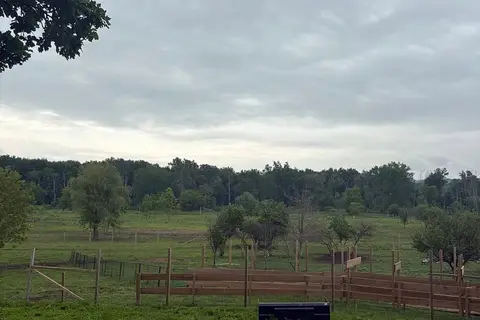 00 County Rd 5
