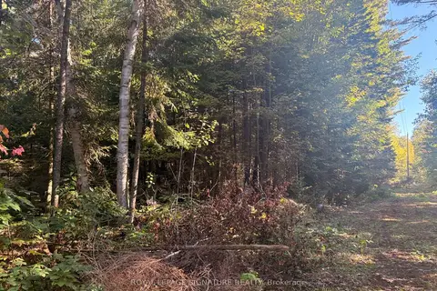 63 Bunny Trail