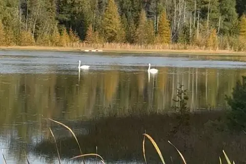 580223 SIDEROAD 60