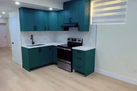 3843 Petalpath Way Basement