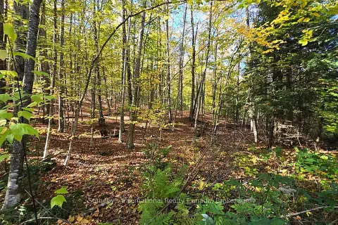 0 Mink Lot 17 Road