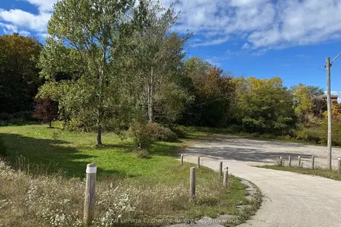 PT MILL BLK 1 PL WILD FANG Lane