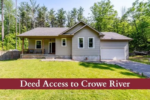 51 Pine Grove Road