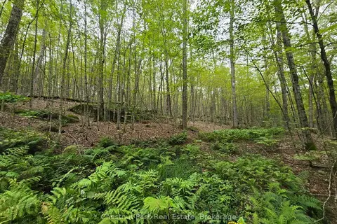 00 Old Track Road