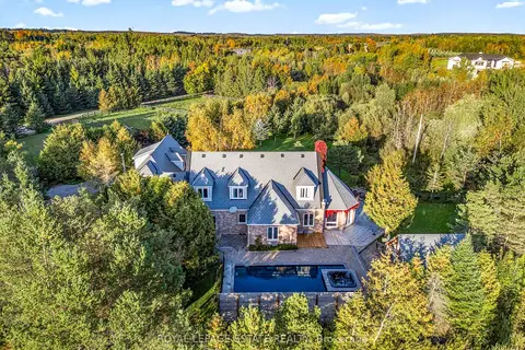 555086 Mono Amaranth Townline