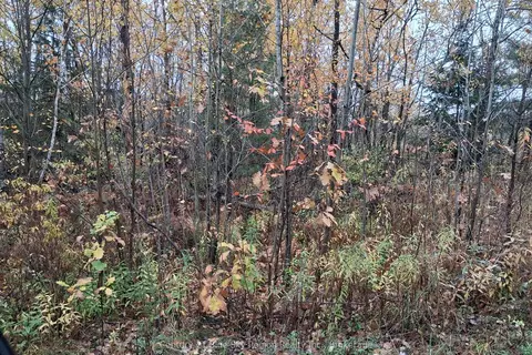 0 Bear Creek Road