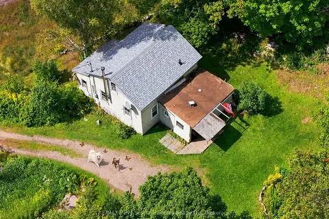 1115 Highway 124