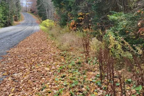 0 Haines Lake Road