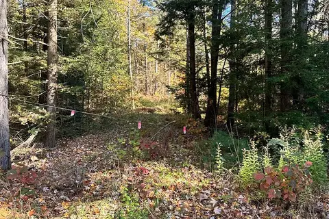 1101 Doe Lake Road