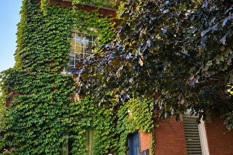 21 West Avenue S 4