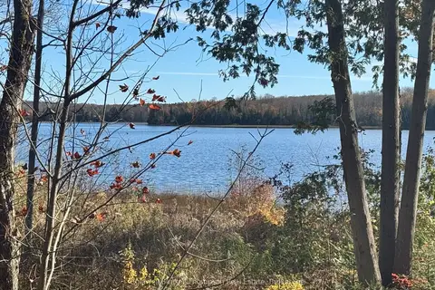 425 Bartlett Lake Road
